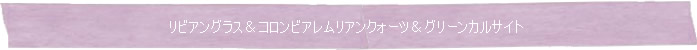 ◆リビアングラス＆コロンビアレムリアンクォーツ＆グリーンカルサイト◆Memory of Soul ブレスレット