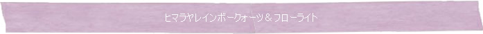 ◆ヒマラヤレインボークォーツ＆フローライト◆Memory of Soul